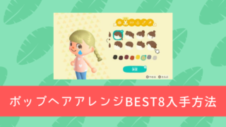 ポップヘアアレンジ 内容 入手方法