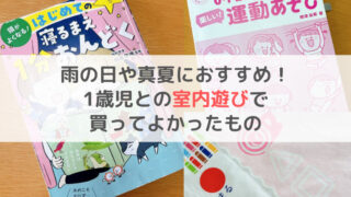 雨 真夏 おすすめ 1歳児 室内遊び　お家遊び　買ってよかった　絵本　おもちゃ　知育　ブログ