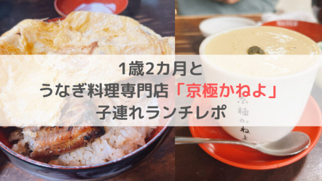 子連れランチ 1歳2カ月 京都 河原町 うなぎ料理専門店 京極かねよ ブログ