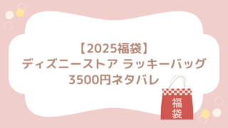 2025 福袋 ディズニーストア ラッキーバッグ 3500円 ネタバレ ブログ　中身